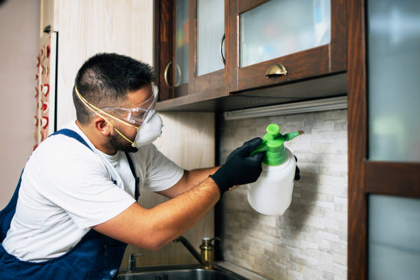 Keokea, HI Pest Control Company