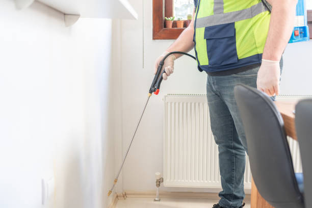 Best Best Pest Control Companies  in Keokea, HI